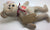 ty Beanie Baby Bears 2