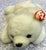 Large ty Beanie Babies