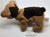 ty Beanie Baby Dog - No Tag