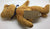 ty Beanie Baby Bears 2
