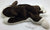 ty Beanie Baby Dog - No Tag
