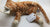 ty Beanie Baby Cat 2