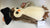 ty Beanie Baby Bird 2