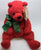ty Beanie Teddy Bears Dale Frewin