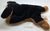 ty Beanie Baby Dog - No Tag