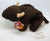 ty Beanie Baby Safari