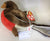 ty Beanie Baby Bird 2