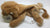 ty Beanie Baby Safari 2