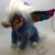 ty Beanie Baby Mystic