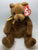 ty Beanie Teddy Bears Dale Frewin