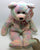 ty Beanie Teddy Bears Dale Frewin