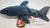 ty Beanie Baby Water