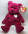 ty Beanie Teddy Bears Dale Frewin