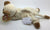 ty Beanie Baby Cat 2