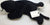 ty Beanie Baby Safari 2