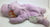 ty Beanie Baby Safari 2