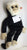 ty Beanie Baby Monkey 2