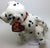 ty Beanie Baby Dogs