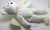 ty Beanie Baby Bears - No Tag