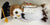 ty Beanie Baby Bird 2