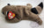 ty Beanie Baby Farm