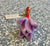 Artistic Flowers - Tulip