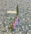 Artistic Flowers - Reeds