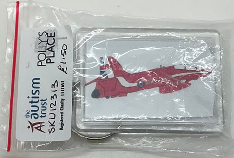 Aircraft Keyrings