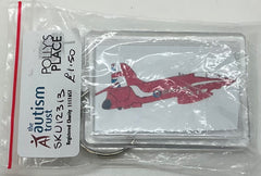 Aircraft Keyrings