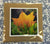 Handmade Card