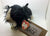ty Beanie Baby Dog