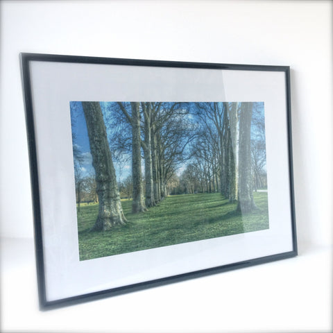 'Trees'