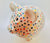 Mrs Potts Place Ceramics - Gifts Various