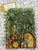 Powertex Notebooks - Various Sizes and Designs