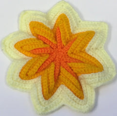 Flower Coaster