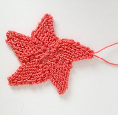 Star Coral Hang