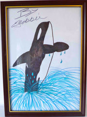 Frame Picture Leaping Orca