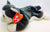 ty Beanie Baby Cat Nanook