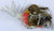 ty Beanie Baby Bird Robin Early