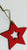 Wood Star Hanging Star Red