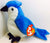 ty Beanie Baby Bird Jay Rocket